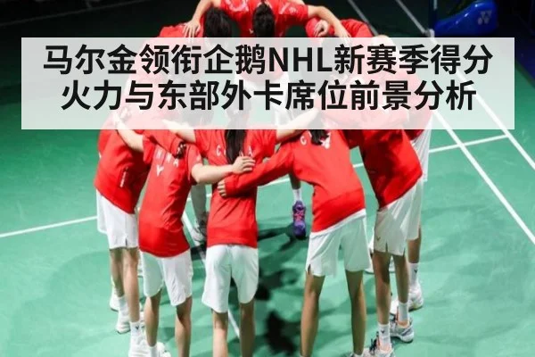 马尔金领衔企鹅NHL新赛季得分火力与东部外卡席位前景分析 - kaiyun